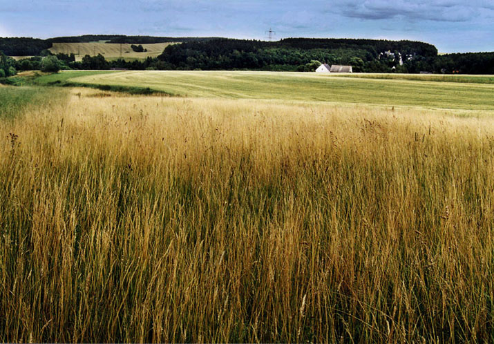 Adelsberger Landschaft