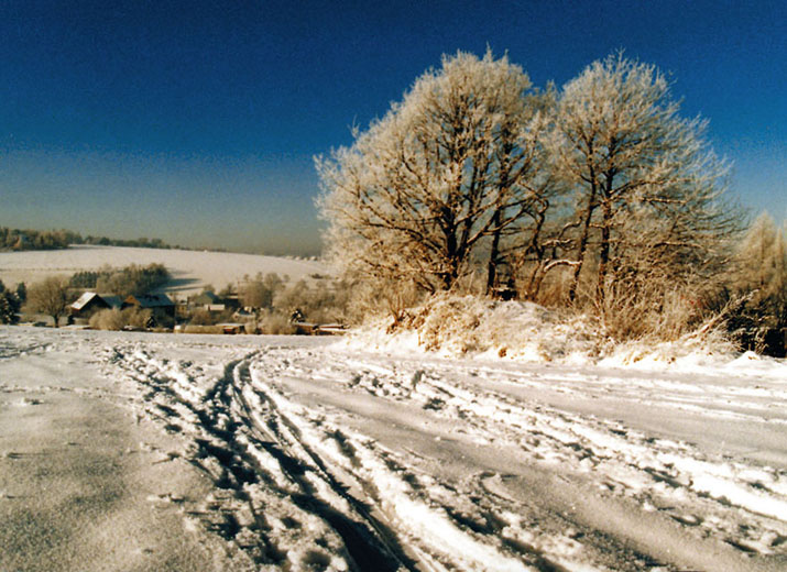 Winter in Adelsberg 
